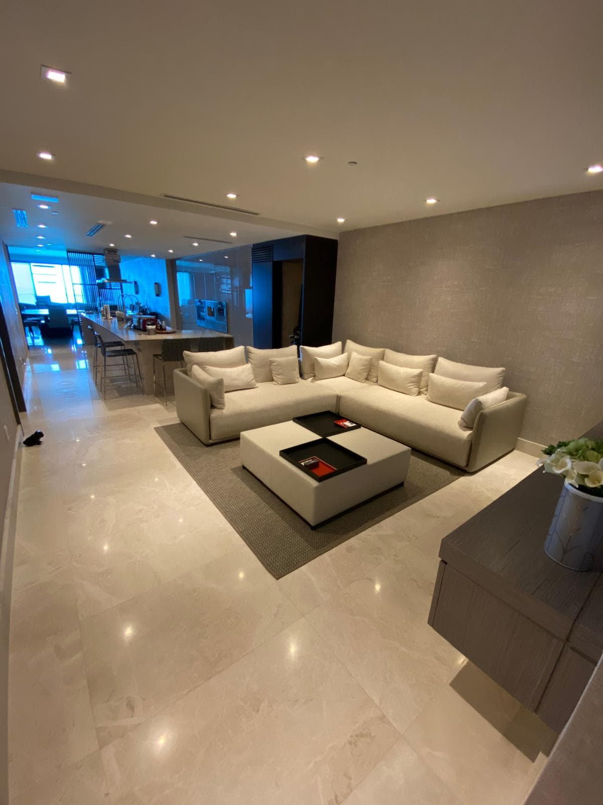 Living room evening view